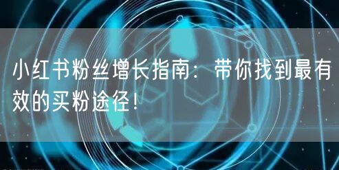 小红书粉丝增长指南：带你找到最有效的买粉途径！