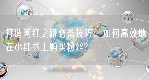 打造网红之路必备技巧：如何高效地在小红书上购买粉丝?