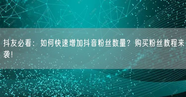 抖友必看：如何快速增加抖音粉丝数量？购买粉丝教程来袭！